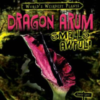 Dragon_Arum_Smells_Awful_
