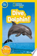 Dive__dolphin_
