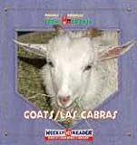 Goats___Las_cabras