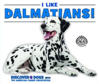 I_Like_Dalmatians_