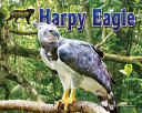 Harpy_eagle