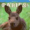 Moose_babies_