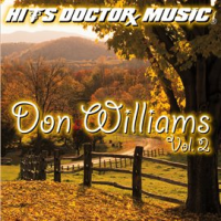 Hits_Doctor_Music_As_Originally_Performed_By_Don_Williams_-_Vol__2