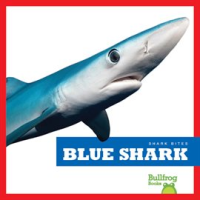 Blue_Shark