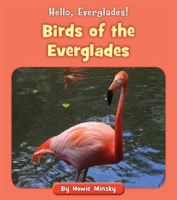 Birds_of_the_Everglades