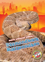 Diamondback_Rattlesnakes