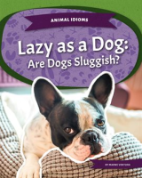 Lazy_as_a_Dog__Are_Dogs_Sluggish_