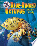 Blue-ringed_octopus___small_but_deadly