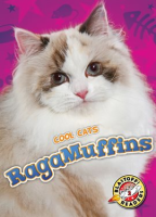 RagaMuffins