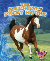 The_American_Paint_Horse