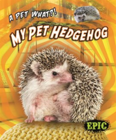 My_Pet_Hedgehog