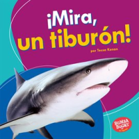 __Mira__un_Tibur__n___Look__a_Shark__