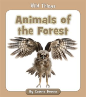 Animals_of_the_Forest