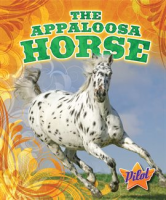 The_Appaloosa_Horse