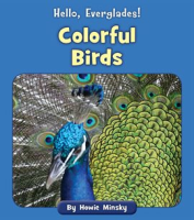 Colorful_Birds