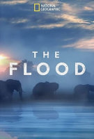 The_flood