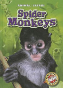 Spider_monkeys