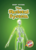 The_skeletal_system
