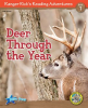 Deer_Through_the_Year