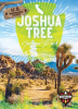Joshua_Tree_National_Park