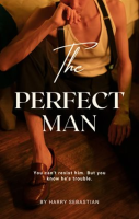 The_Perfect_Man