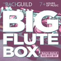 Big_Flute_Box